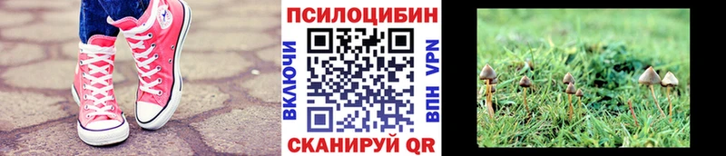 Галлюциногенные грибы MAGIC MUSHROOMS  shop телеграм  Кушва  OMG ссылки 